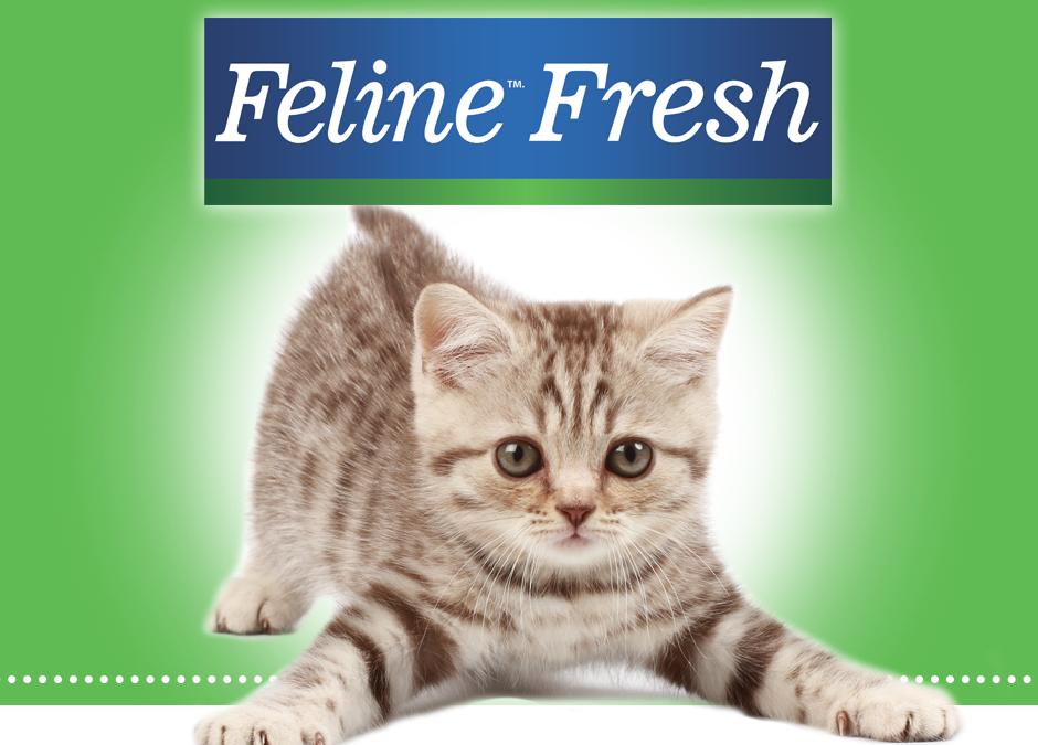 Feline Fresh