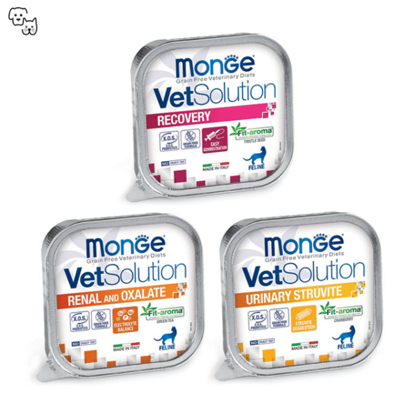 VetSolution Wet Cat Food Feline – Recovery 100g