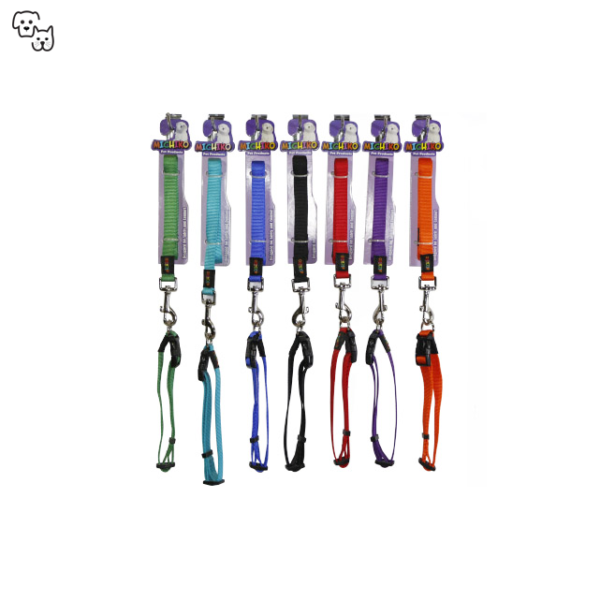 Michiko Nylon Collar & Lead Set (Large)