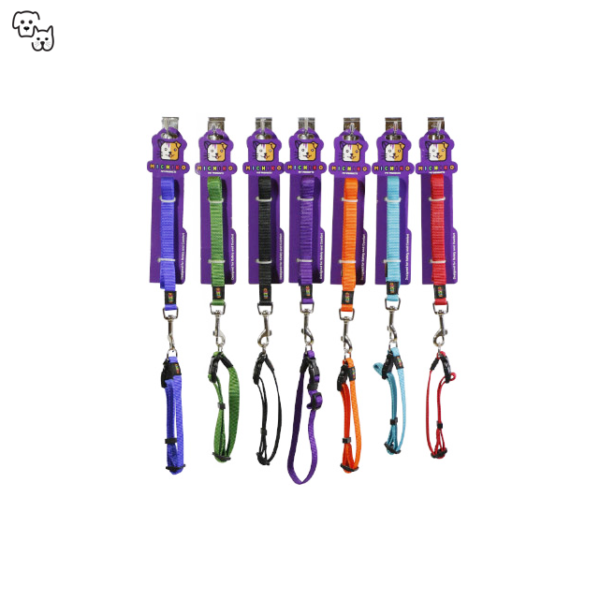 Michiko Nylon Collar & Lead Set (Medium)