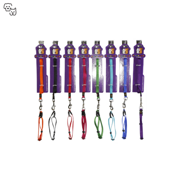 Michiko Nylon Collar & Lead Set (Small)