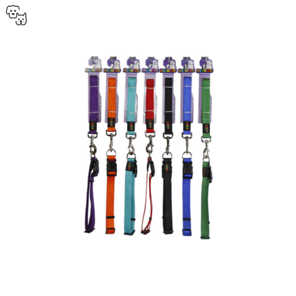 Michiko Nylon Collar & Lead Set (Extra Large)