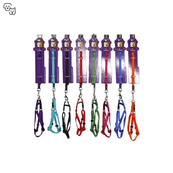 Michiko Nylon Lead & Harness Set (Large)