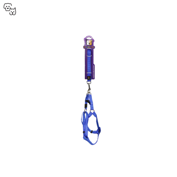 Michiko Nylon Lead & Harness Set (Medium)