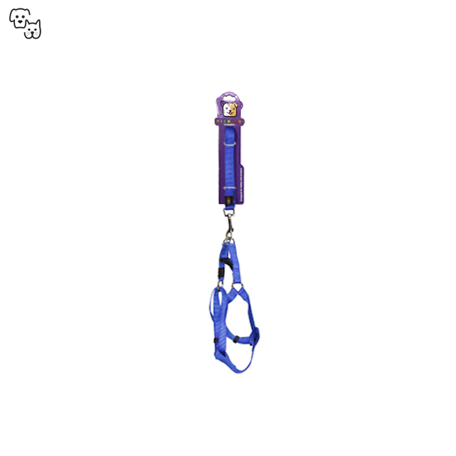 Michiko Nylon Lead & Harness Set (Medium)