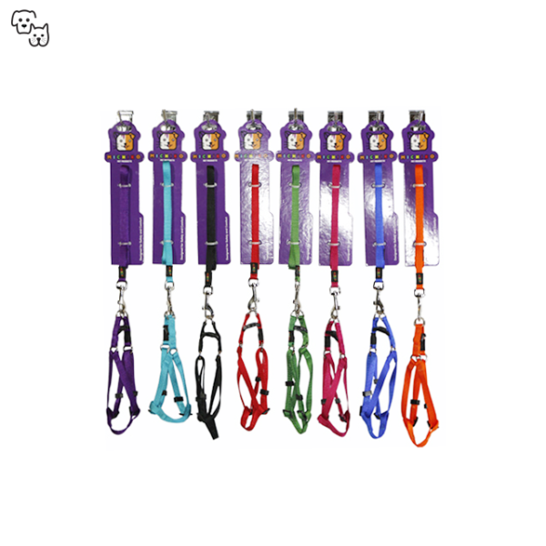 Michiko Nylon Lead & Harness Set (Small)