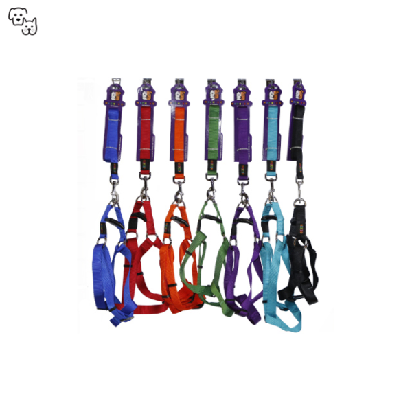 Michiko Nylon Lead & Harness Set (Extra Large)