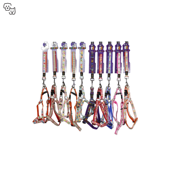Michiko Pattern Lead & Harness Set (Large)
