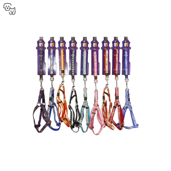 Michiko Pattern Lead & Harness Set (Medium)