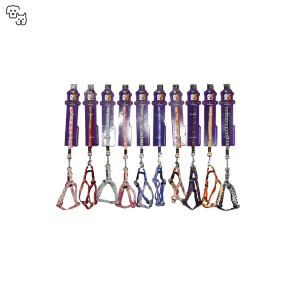 Michiko Pattern Lead & Harness Set (Small)
