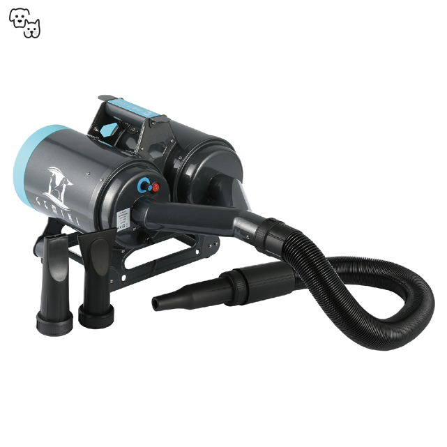 Aeolus Gemini Dual Motor Dryer TD-900CG
