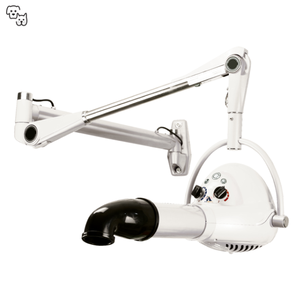 Aeolus Ionic Wall-hanging Dryer TD-905