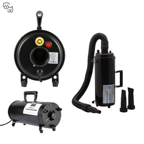 Aeolus Hercules Double Motor Desktop Dryer 4hp